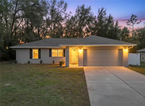 Photo of 3480 E Theo Lane, Inverness, FL 34453 (MLS # OM717878)