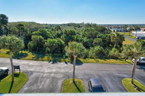 A home in FLAGLER BEACH