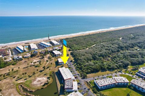 A home in FLAGLER BEACH