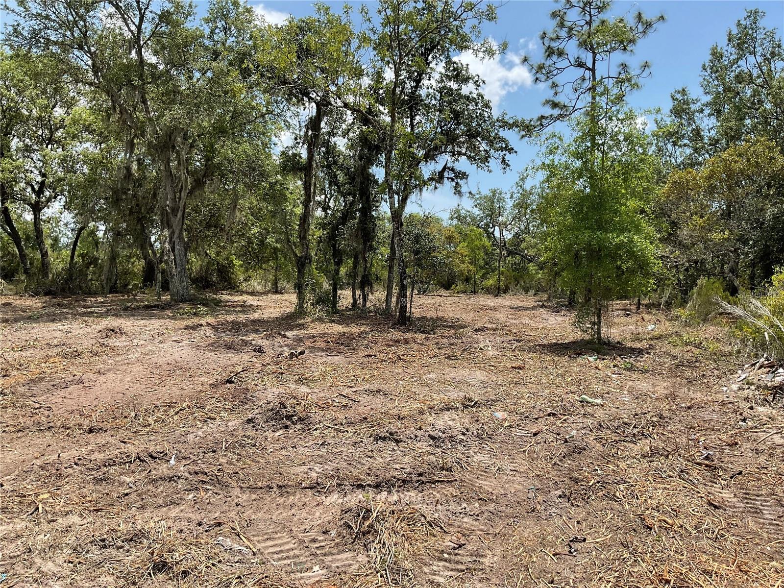 PRICE REDUCED TO 9,500K!!.. Property is bush hogged and it came out beautifully! .24 acre clear land in a completely quite atmosphere. Great place to raise a family. High and dry, no flood zone, no HOAs. About 84' on the road and about 125' deep. Just 10 minutes to Williston and Bronson for shopping, salons, restaurants, schools, gas stations, court house. Devils den, hiking, fishing, and horseback riding nearby. 30 minutes to Gainesville, Ocala, WEC, HITS and Dunnellon. Don't miss the opportunity to own your own place in the country!