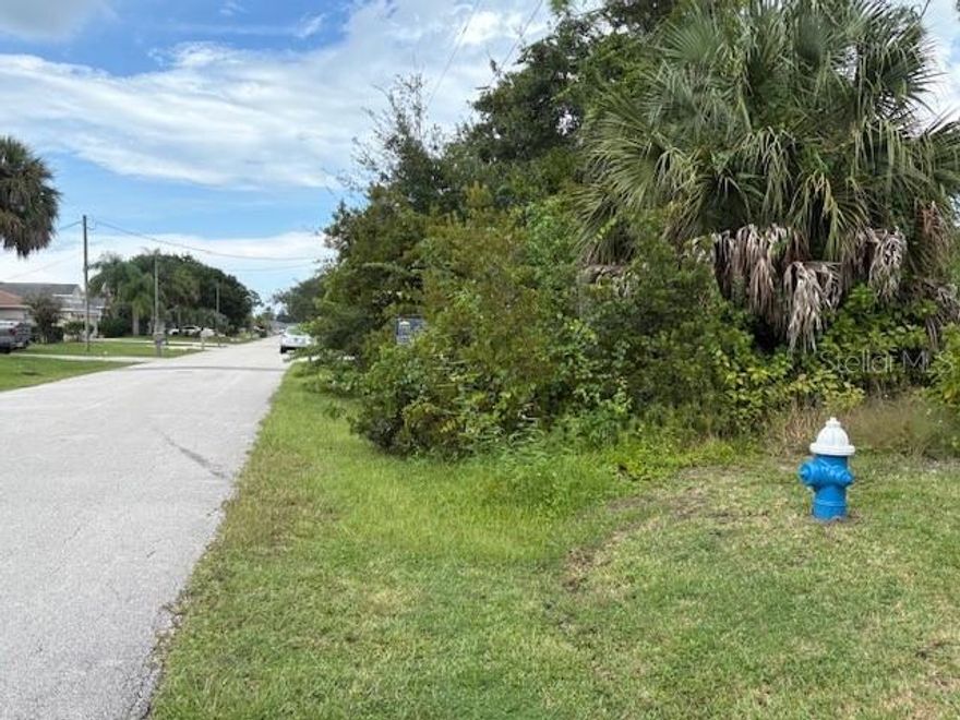 Welcome to 24 Forsythe Lane in beautiful Palm Coast, Florida! This homesite is ideally located in a fully developed and quiet residential neighborhood surrounded by well-maintained homes, offering peace, privacy, and comfort. Enjoy the best of Florida living with nearby walking and biking trails, world-class golf courses, and pristine Atlantic beaches just minutes away.

The property provides excellent accessibility to major roadways, shopping centers, malls, restaurants, and schools, making everyday living convenient and enjoyable. Nearby you’ll also find medical facilities, parks, and community amenities, making this location perfect for families and investors alike.

With available utilities and paved road access, this lot is ready for your dream home or investment build. Palm Coast continues to be one of Florida’s fastest-growing areas, offering strong long-term value, community growth, and lifestyle convenience. Whether you are seeking a new residence, vacation retreat, or future investment, 24 Forsythe Lane offers the perfect opportunity in a desirable, quiet, and fully established community.