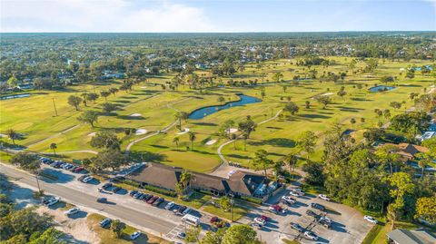 A home in NEW SMYRNA BEACH