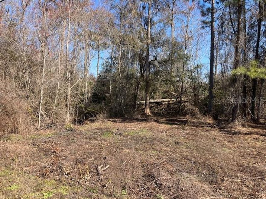 Escape to the peace and quiet of country living with this beautiful 1.14-acre vacant lot. Above average in size and partially cleared, this property is ready for your vision—whether it’s a dream home, weekend retreat, or investment. Survey fees have been paid and are up to date, making the path to building even easier. Also, NO HOA! Enjoy open space, fresh air, and endless possibilities in a serene rural setting.