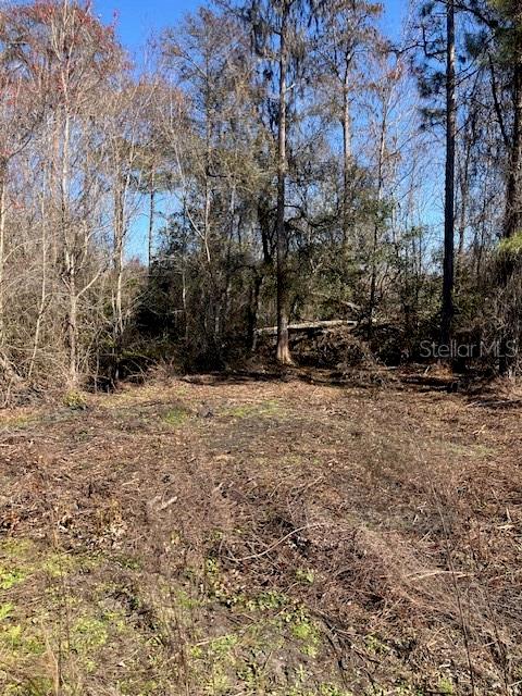 DAYTONA NORTH SUB - Land