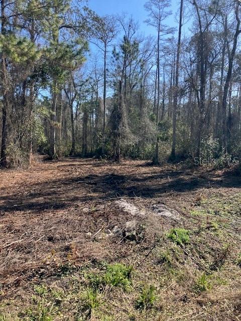 DAYTONA NORTH SUB - Land