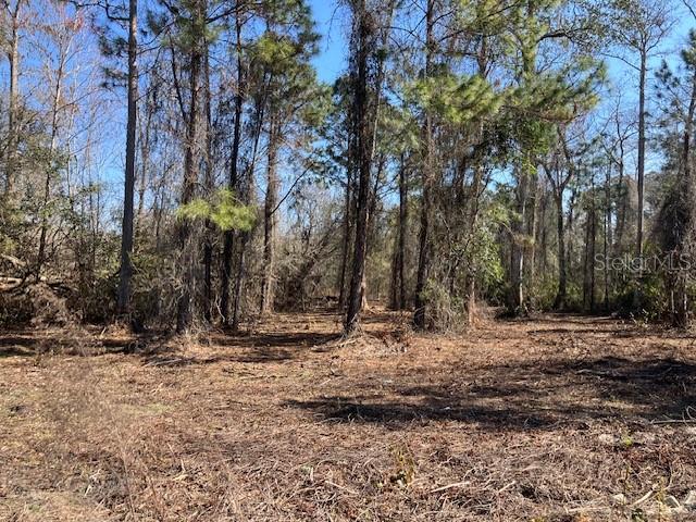 DAYTONA NORTH SUB - Land