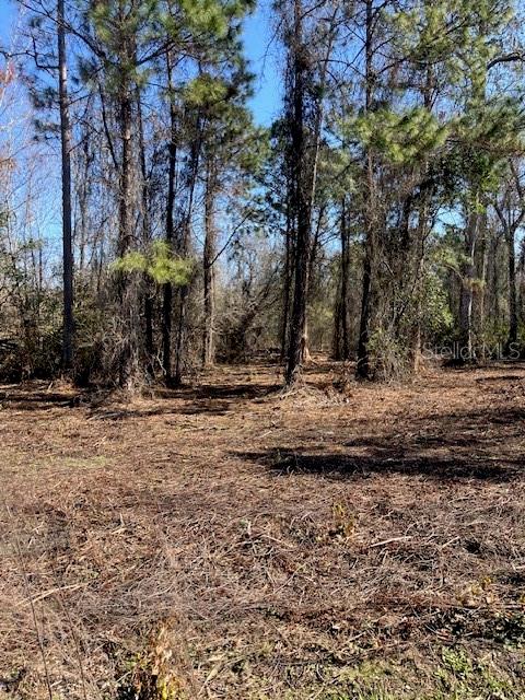 DAYTONA NORTH SUB - Land