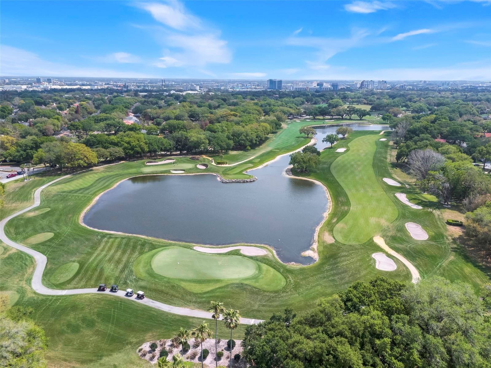 ST IVES AT ORANGE TREE - Residential