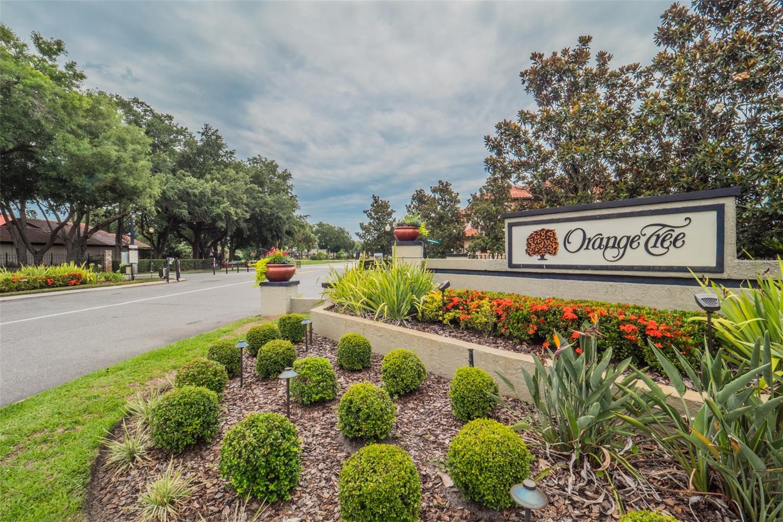 ST IVES AT ORANGE TREE - Residential