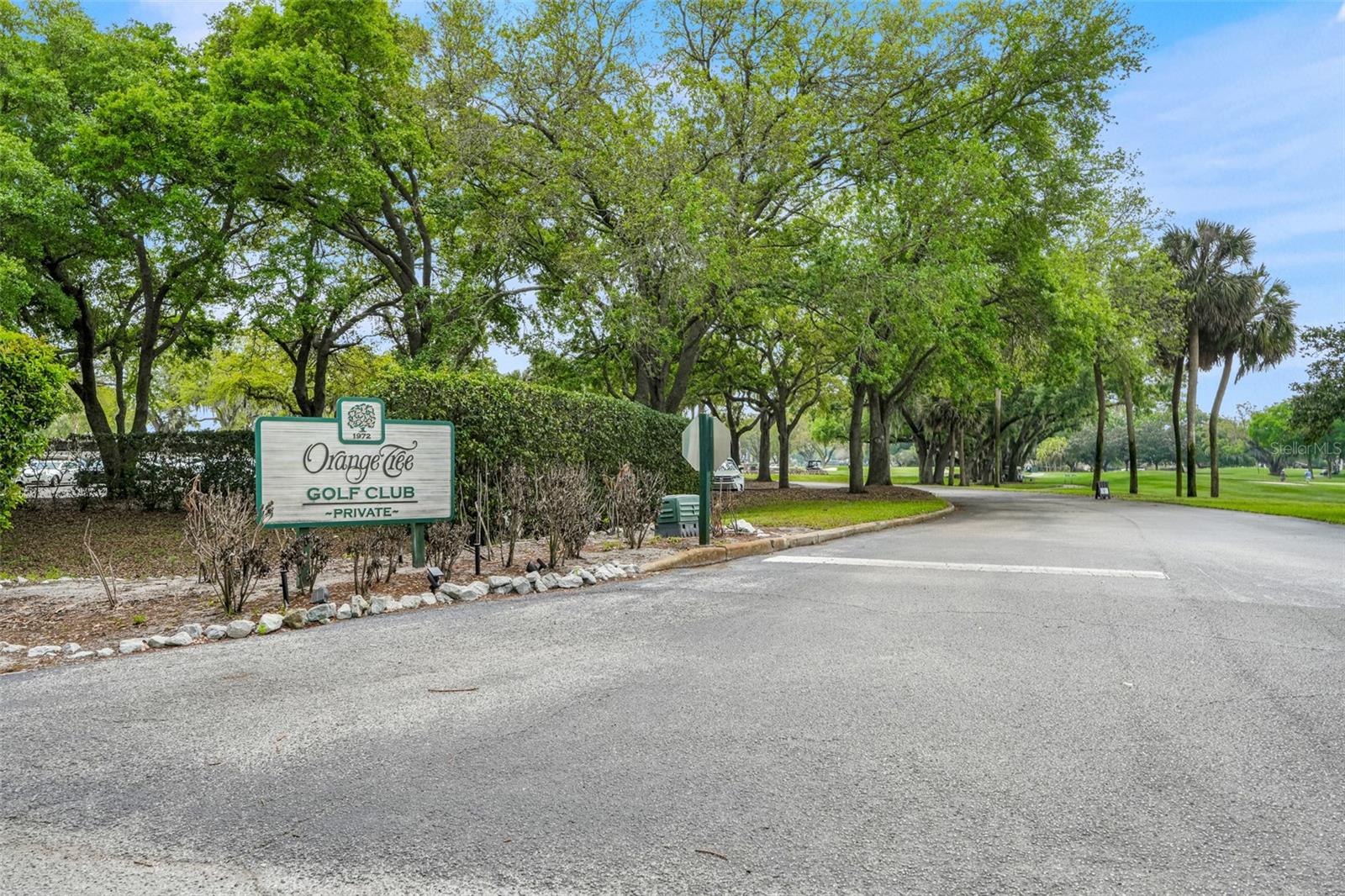 ST IVES AT ORANGE TREE - Residential