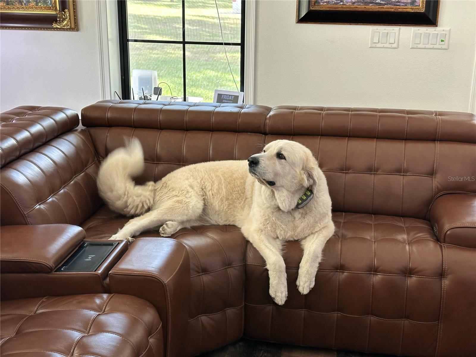 14655 SW 117TH COURT