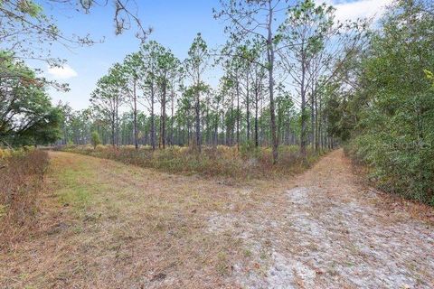 Tiny photo for 14655 SW 117th Court, Dunnellon, FL 34432 (MLS # OM713339)