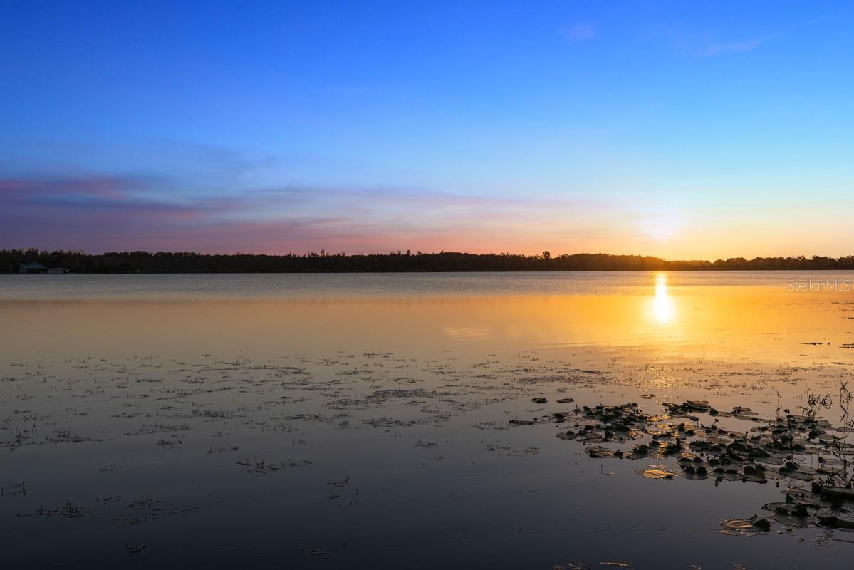 MILLIONAIRE'S ROW - Residential