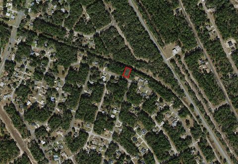 Tiny photo for 9875 N Sandree Drive, Citrus Springs, FL 34434 (MLS # A4684575)