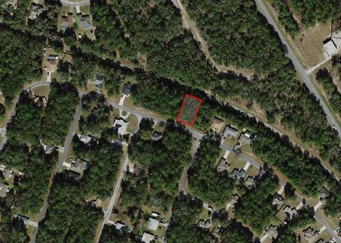 Tiny photo for 9875 N Sandree Drive, Citrus Springs, FL 34434 (MLS # A4684575)