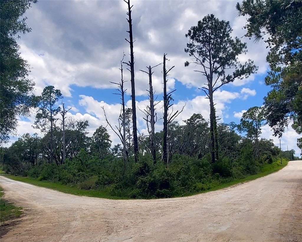 Photo of Coral Rock Drive, Webster, FL 33597 (MLS # TB8474763)