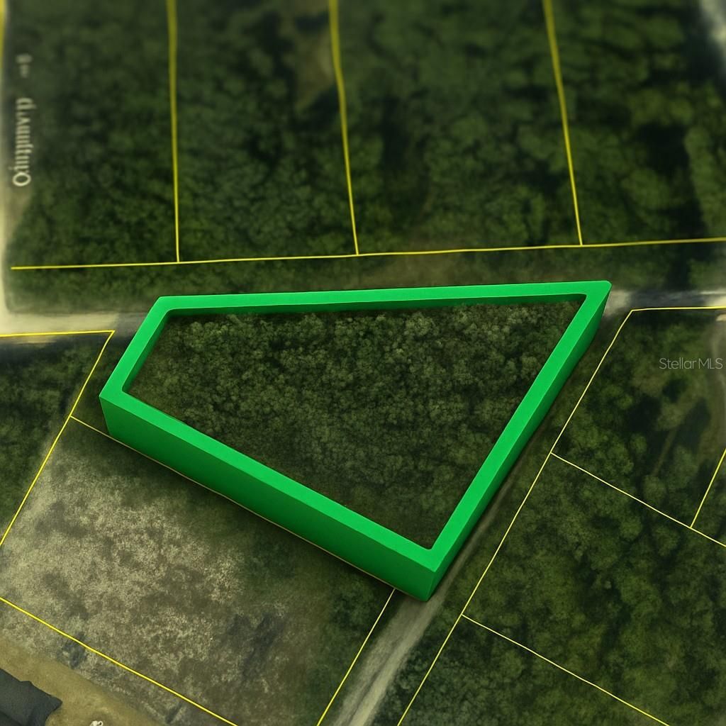 Photo of Coral Rock Drive, Webster, FL 33597 (MLS # TB8474763)