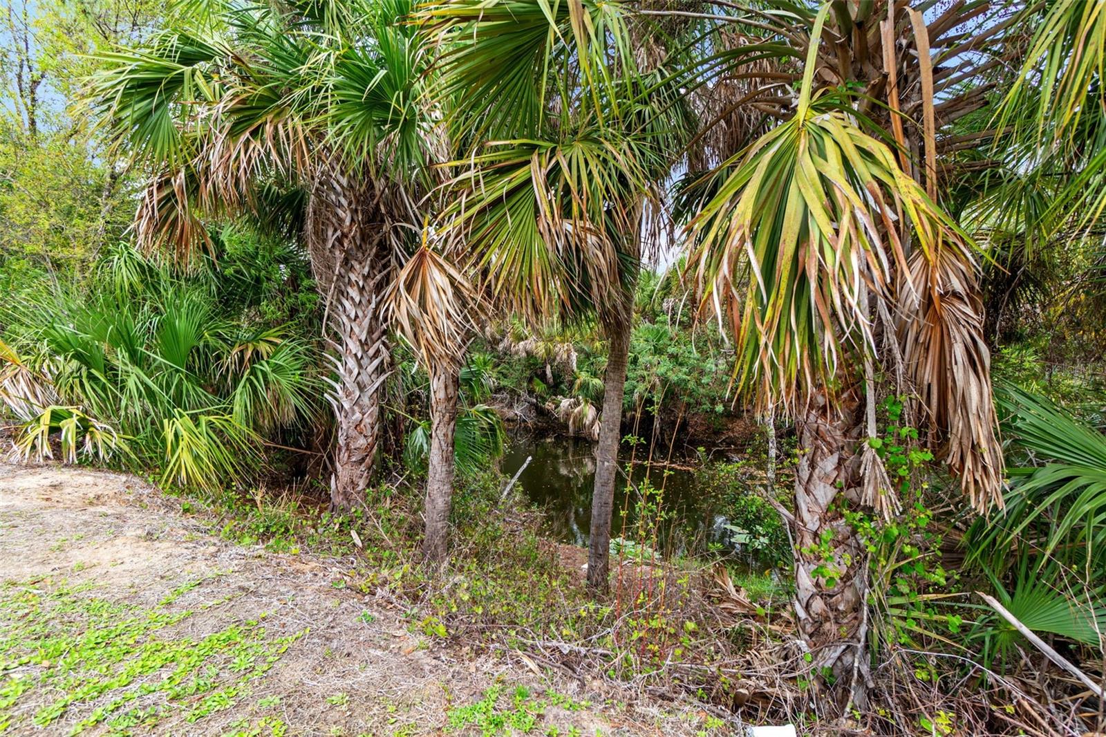 PORT CHARLOTTE SUB 12 - Residential