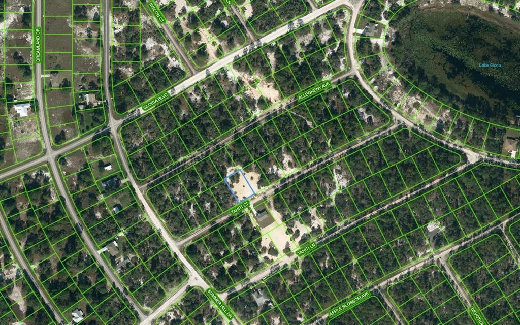 Photo of 408 Tahiti Court, Lake Placid, FL 33852 (MLS # OM624329)