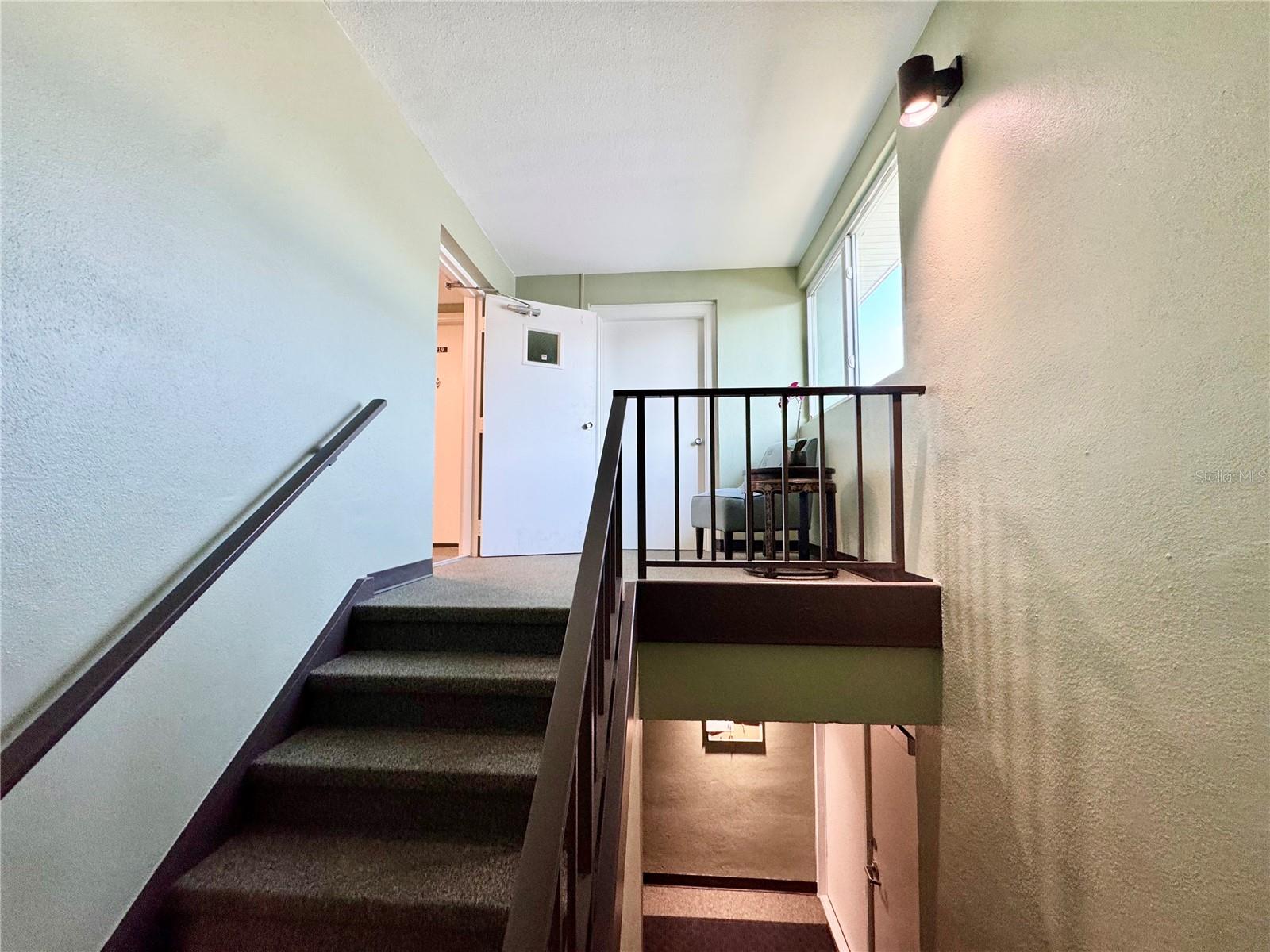 RALEIGH HOUSE - Residential