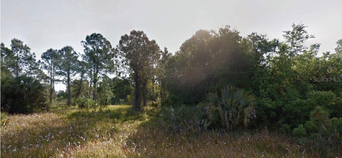 Tucked within a peaceful and growing neighborhood of North Port, this vacant lot offers a fantastic opportunity to build a custom home or make a solid land investment in Southwest Florida. Situated on a paved street with utilities nearby, the parcel is flanked by a mix of established homes and newer construction. Residents enjoy convenient access to shopping, schools, Interstate 75, and coastal beaches. All information is deemed reliable but should be independently verified.