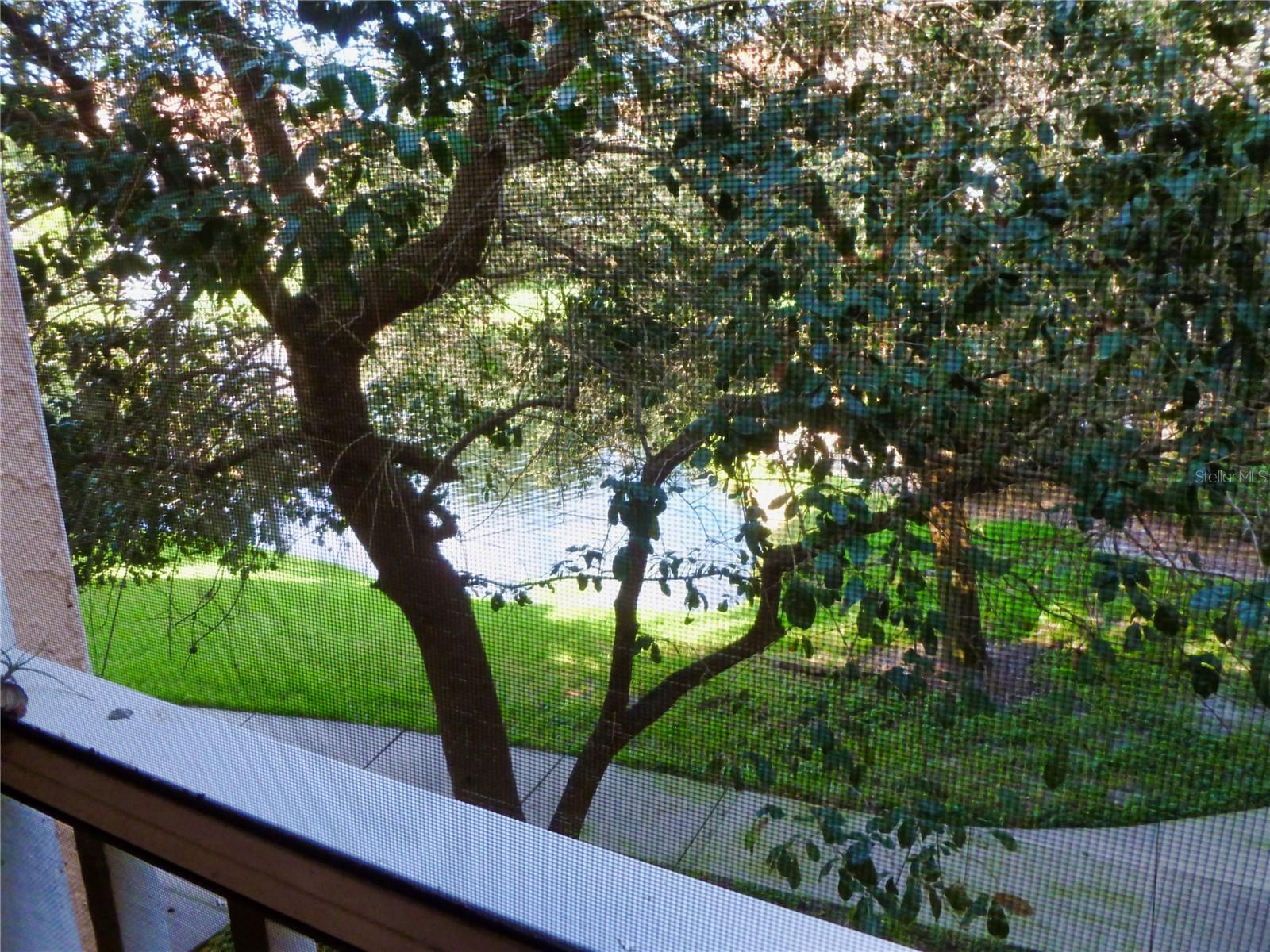 BELLA VILLINO VI - Residential Lease