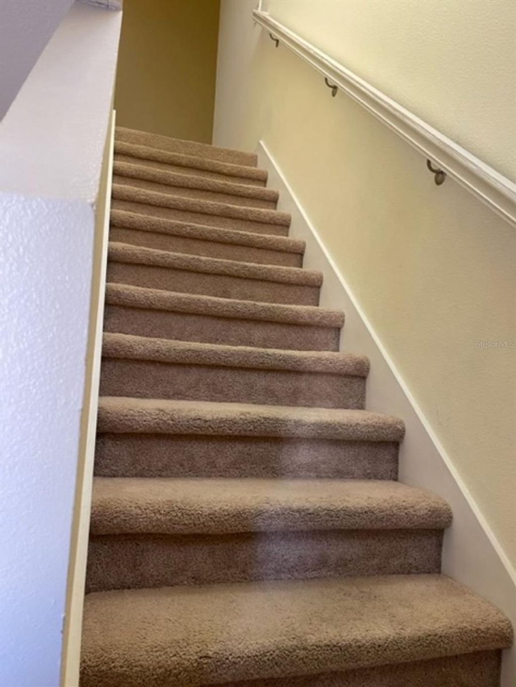 Photo of 2950 Willowleaf Lane, Wesley Chapel, FL 33544 (MLS # TB8495846)