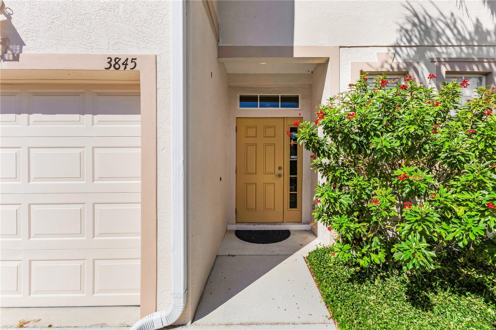 3845 VIRGA BOULEVARD