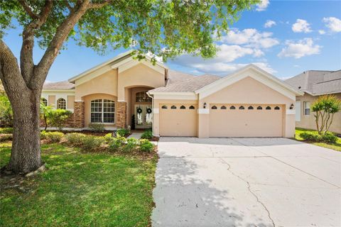 4608 KILCOYNE COURT LUTZ FL 33558