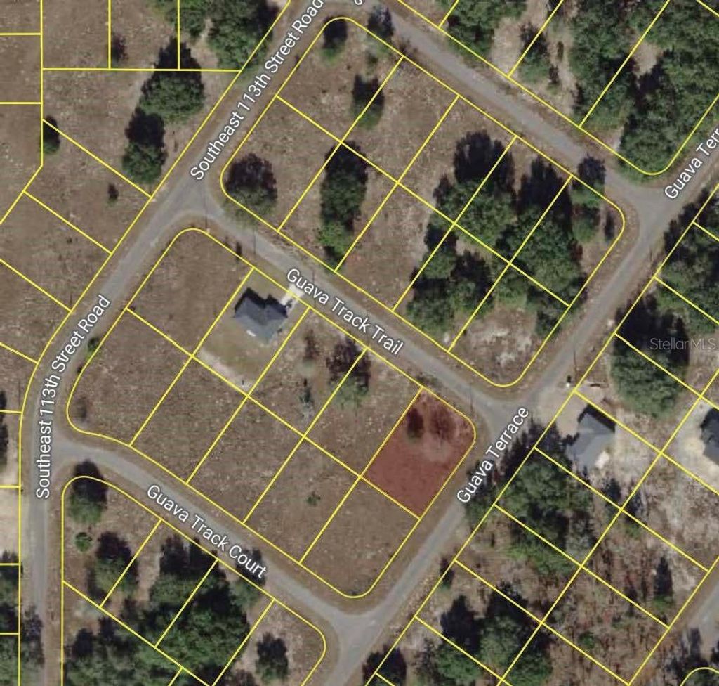 Photo of 00 Guava Track Trail, Ocklawaha, FL 32179 (MLS # O6376966)