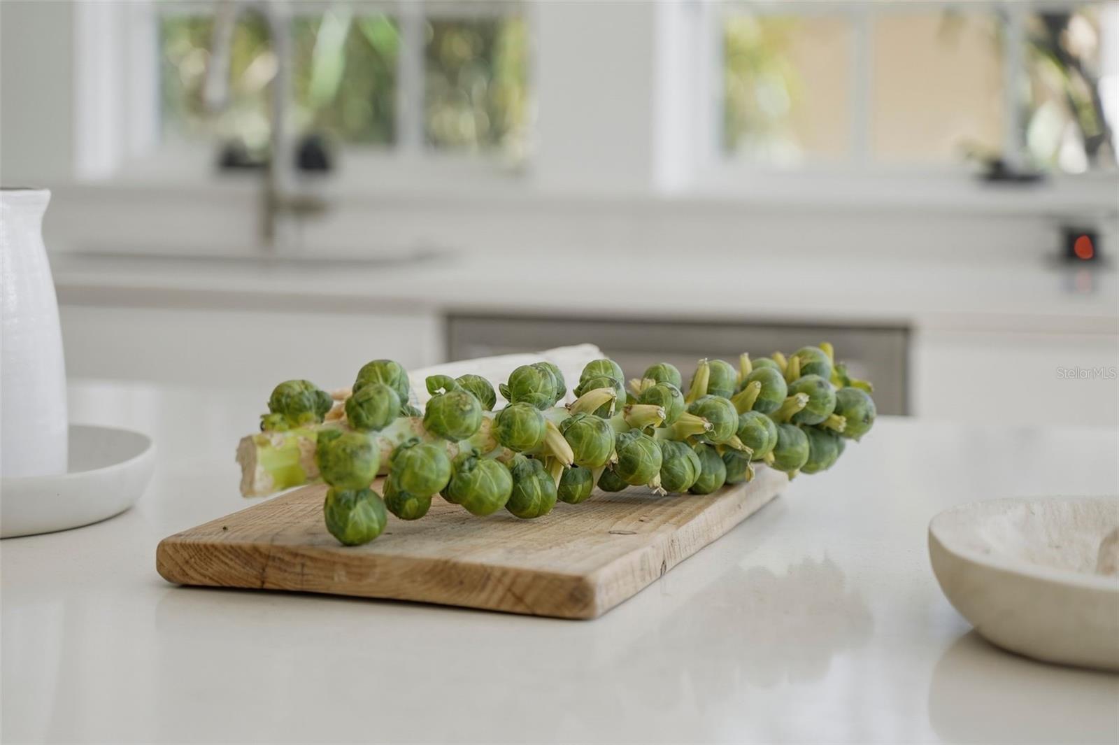 OLD NORTHEAST - Residential