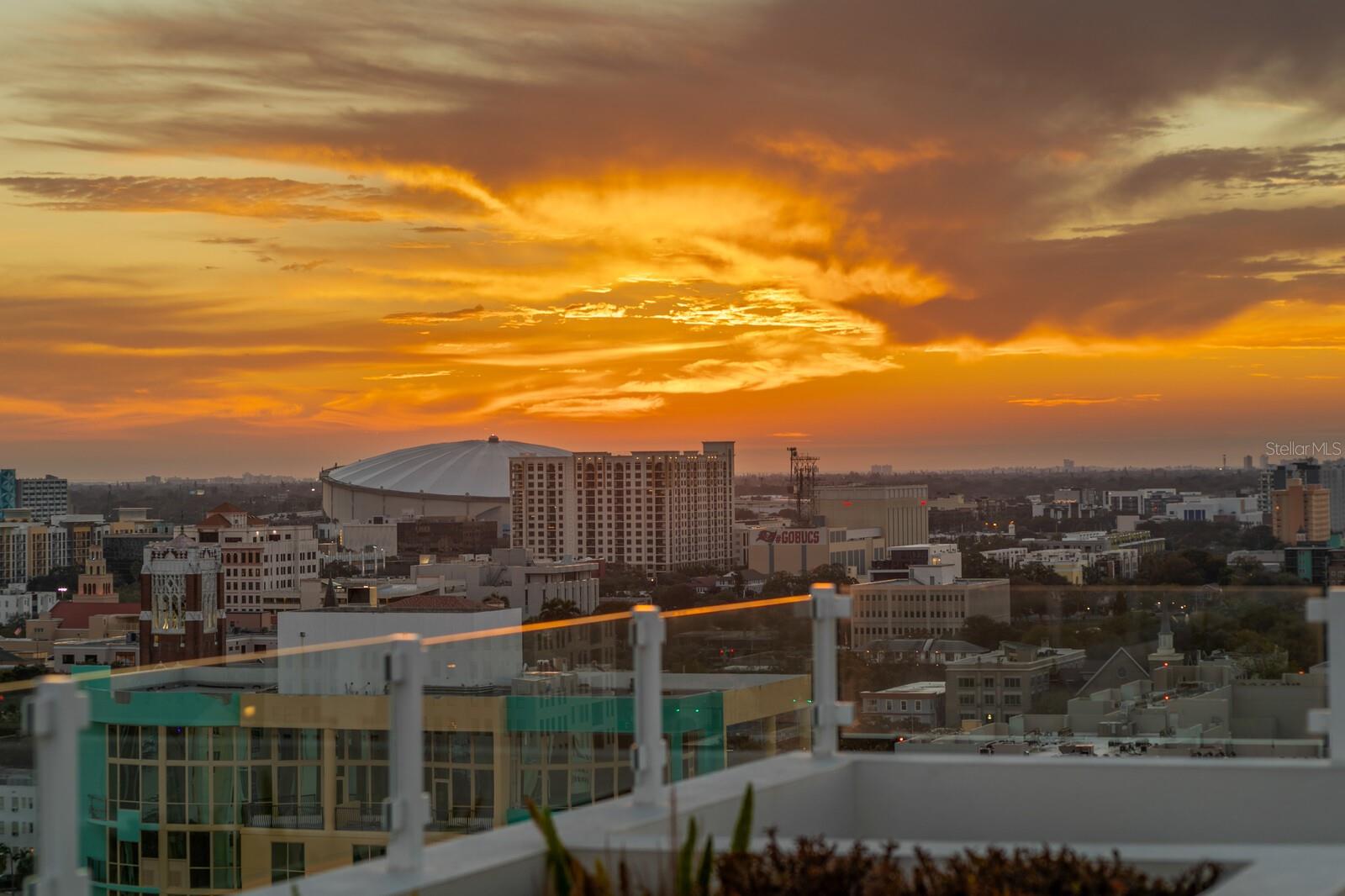 BLISS CONDO - Residential