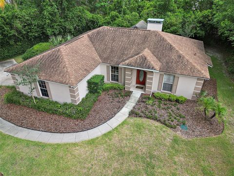 A home in MOUNT DORA