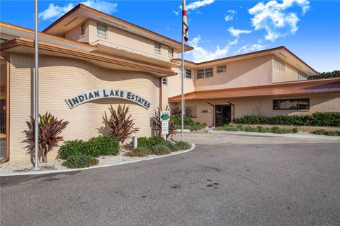 A home in INDIAN LAKE ESTATES