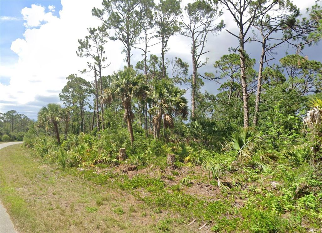 Photo of 362 Binney Lane, Port Charlotte, FL 33953 (MLS # C7493473)