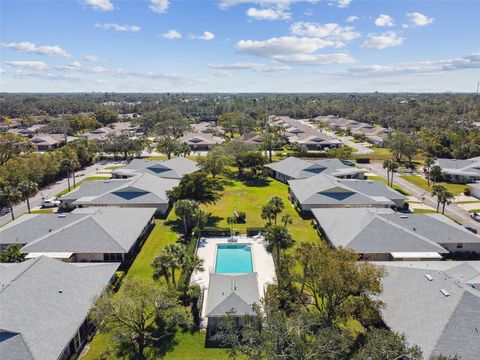 A home in SARASOTA