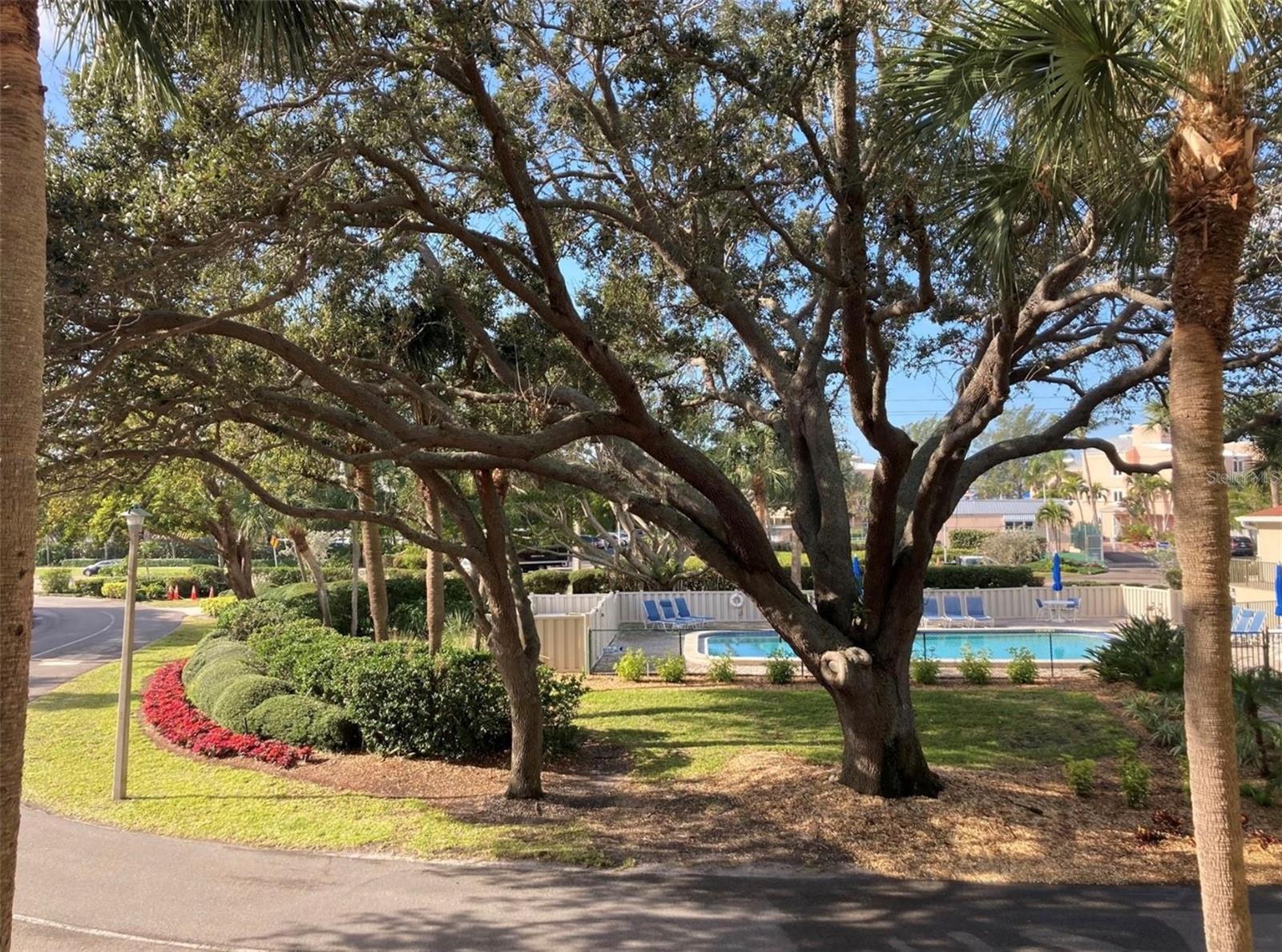 WINDWARD BAY AMD - Residential