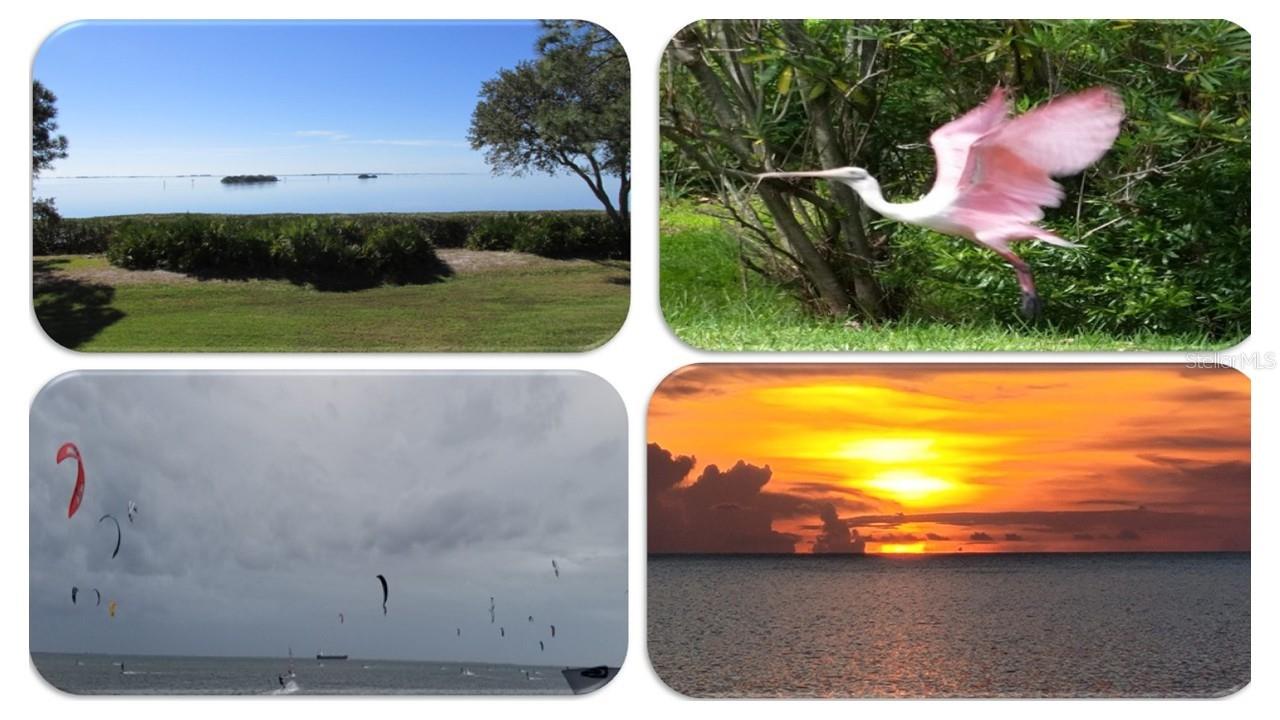 TARPON COVE CONDO - Residential