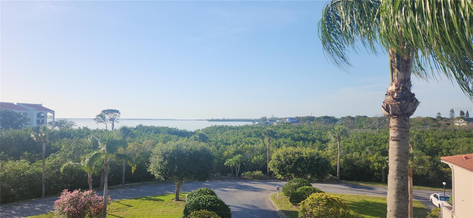 TARPON COVE CONDO - Residential