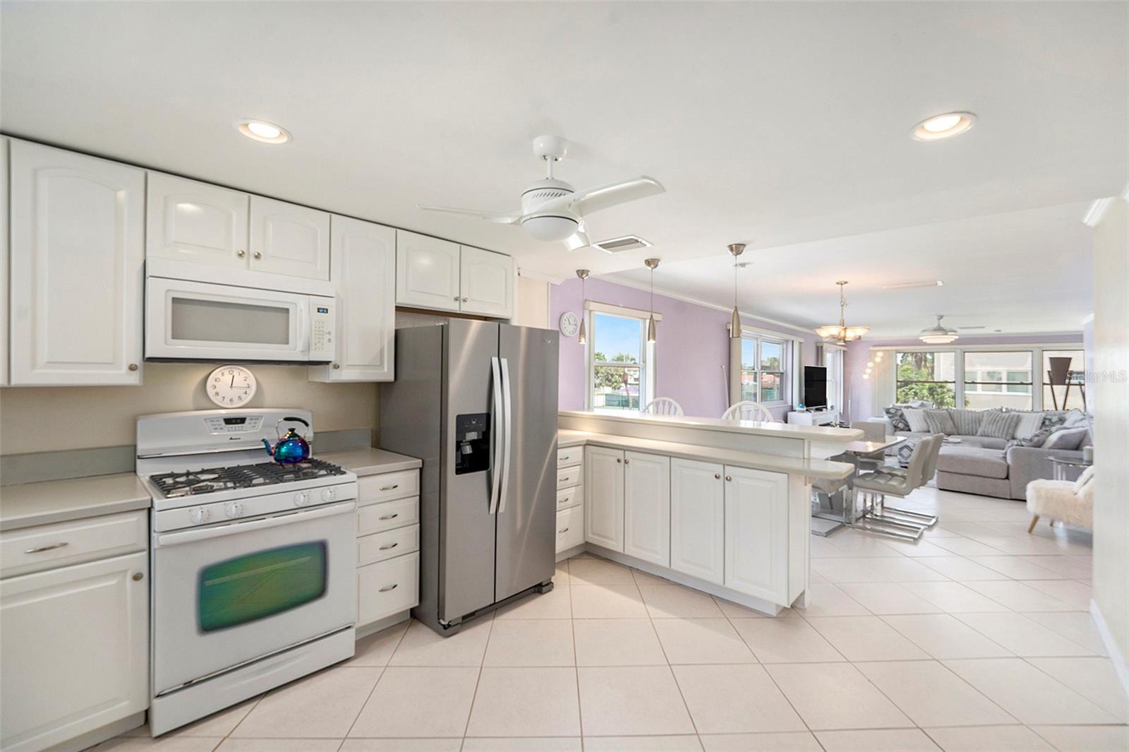 TOWN SHORES OF GULFPORT - Residential