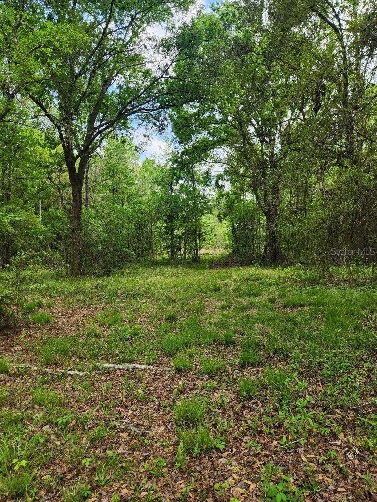 Prime 8.25-Acre Property with Utilities and Pond – 4611 NW 244th Ave, Alachua, FL
Discover the potential of this versatile 8.25-acre parcel located just minutes from downtown Alachua. This unique property comes equipped with two wells, electric service, and a septic system already in place—saving you time and money as you plan your future build or recreational retreat.
A picturesque pond adds charm and natural appeal to the land, creating an ideal setting for a homestead, weekend getaway, or hobby farm.
Please note: a portion of the acreage includes soggy terrain. While it is not classified as wetlands, these 4 acres is not suitable for building. The remaining usable land still provides ample space and flexibility for your vision.
Whether you're looking to build, invest, or enjoy rural living with easy access to nearby amenities, this property offers a rare combination of infrastructure, character, and location.