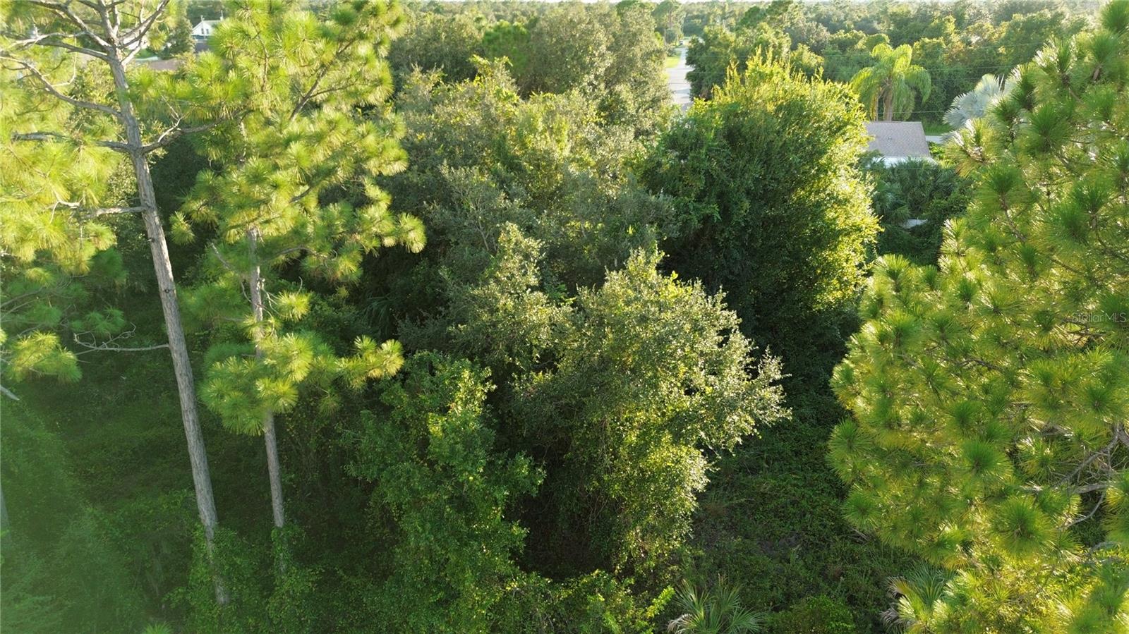 PORT CHARLOTTE SUB 23 - Land