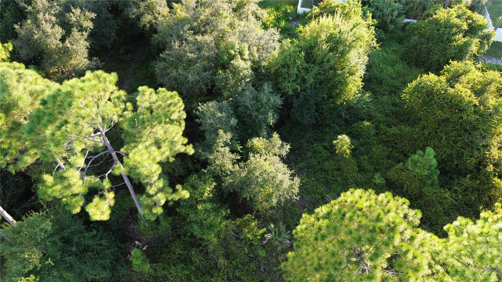 PORT CHARLOTTE SUB 23 - Land