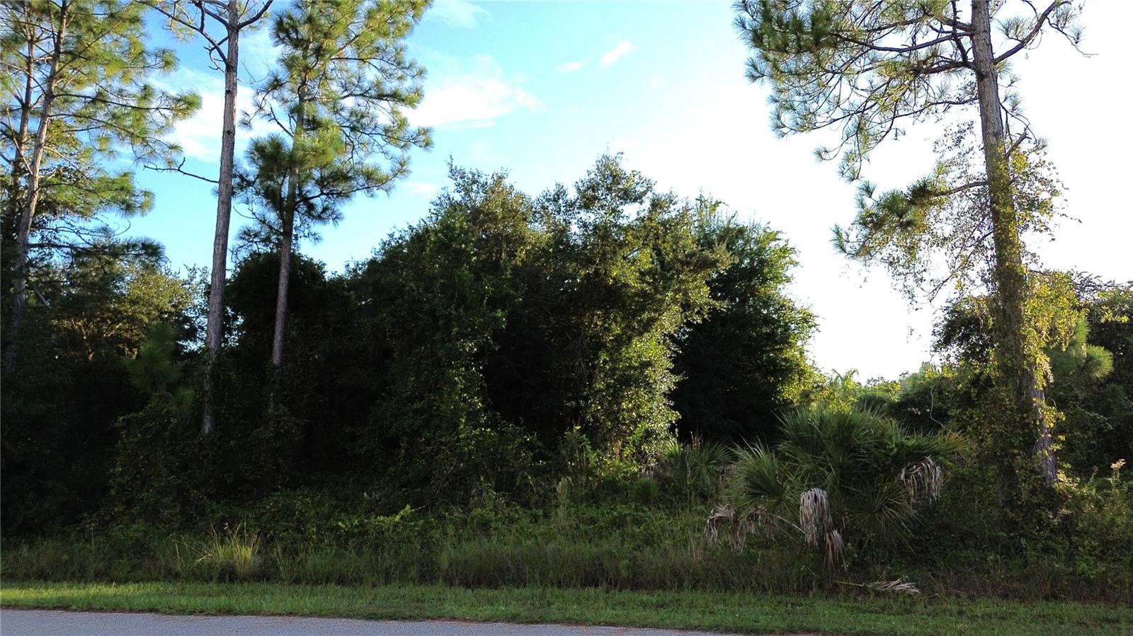 This could be the perfect place to build your dream home. It is an area with nice homes. This lot is in an X flood Zone.