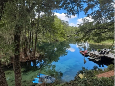 Tiny photo for 11426 SW Hendrix Drive, Dunnellon, FL 34432 (MLS # OM729628)