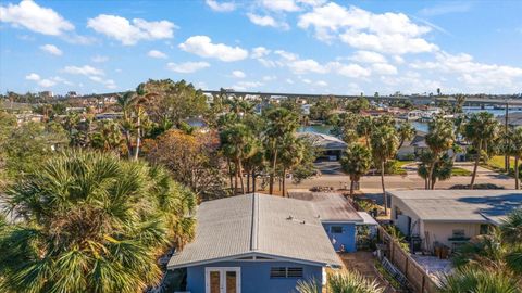 A home in ST PETE BEACH