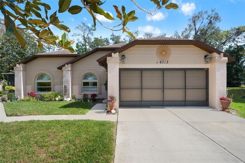 6713 OAK CLUSTER CIRCLE SPRING HILL FL 34606