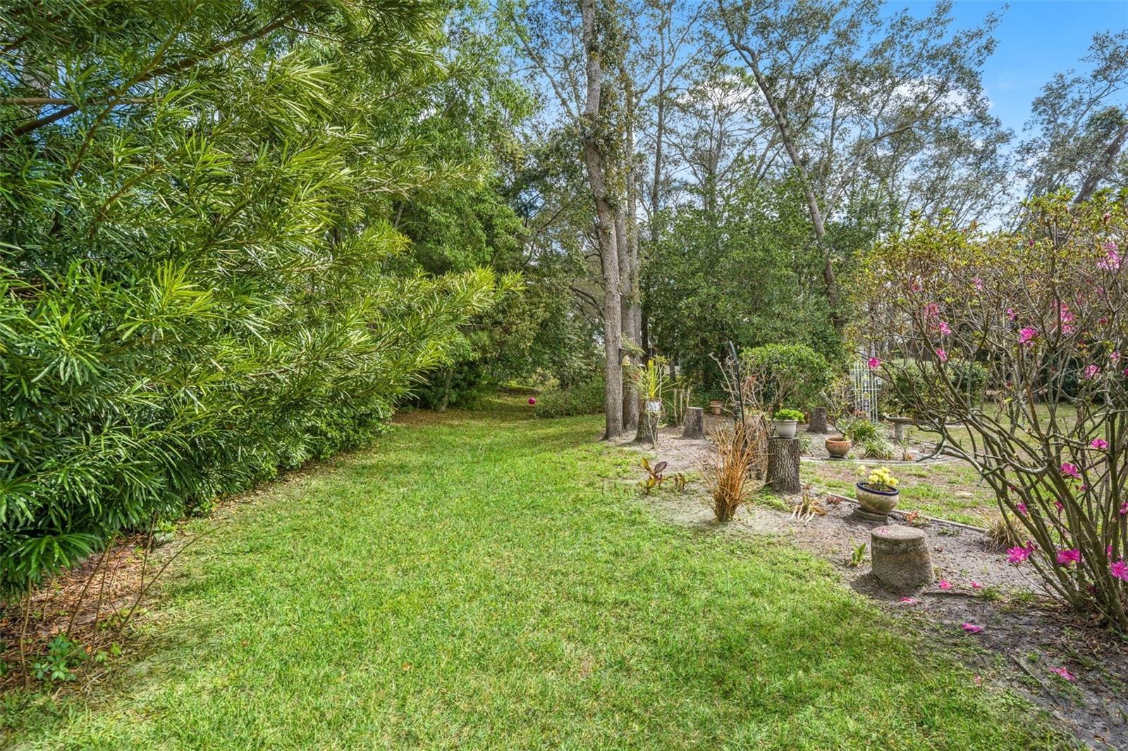 TIMBER PINES - Residential