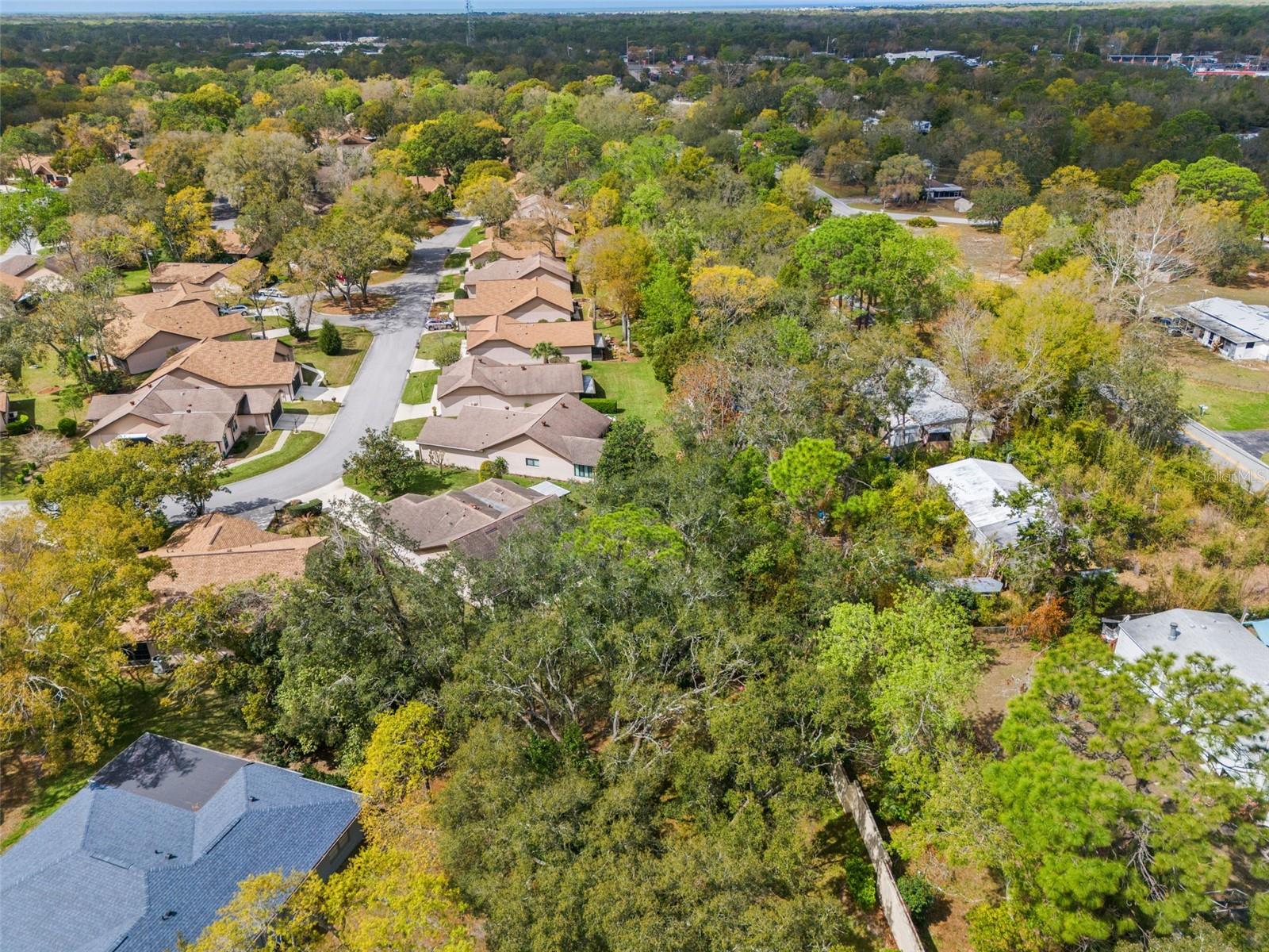 TIMBER PINES - Residential