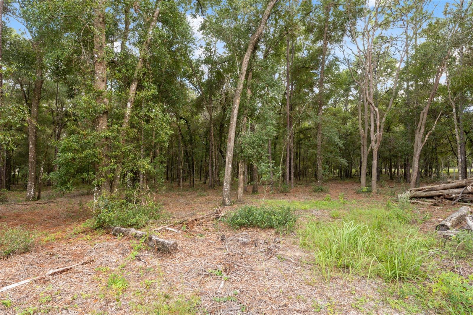 ISTACHATTA ACRES - Residential